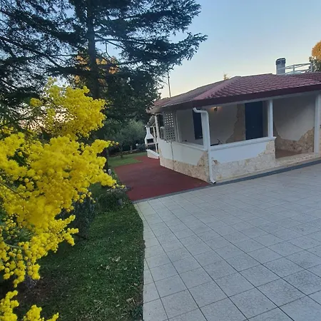 Holiday home Mercadante - Luxury House Cassano delle Murge