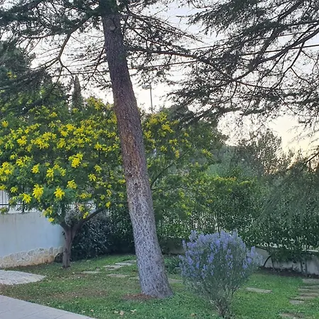 Mercadante - Luxury House كاسانو ديلي مورجي