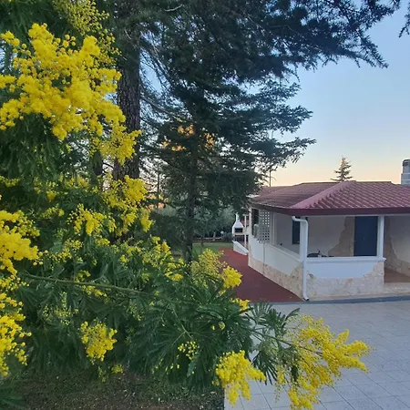 Mercadante - Luxury House