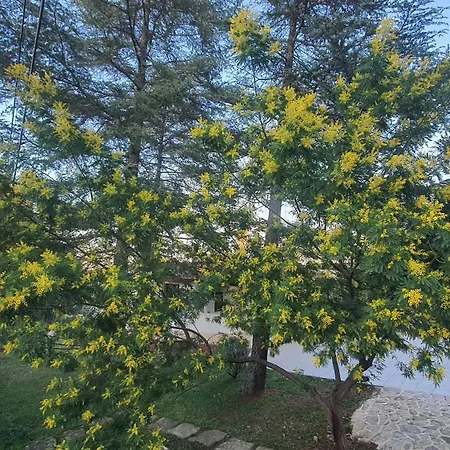 Holiday home Mercadante - Luxury House Cassano delle Murge